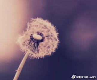 分手后，12星座对前任最狠的报复，双子马上有新欢白羊座：划清界限白羊座分手之后就