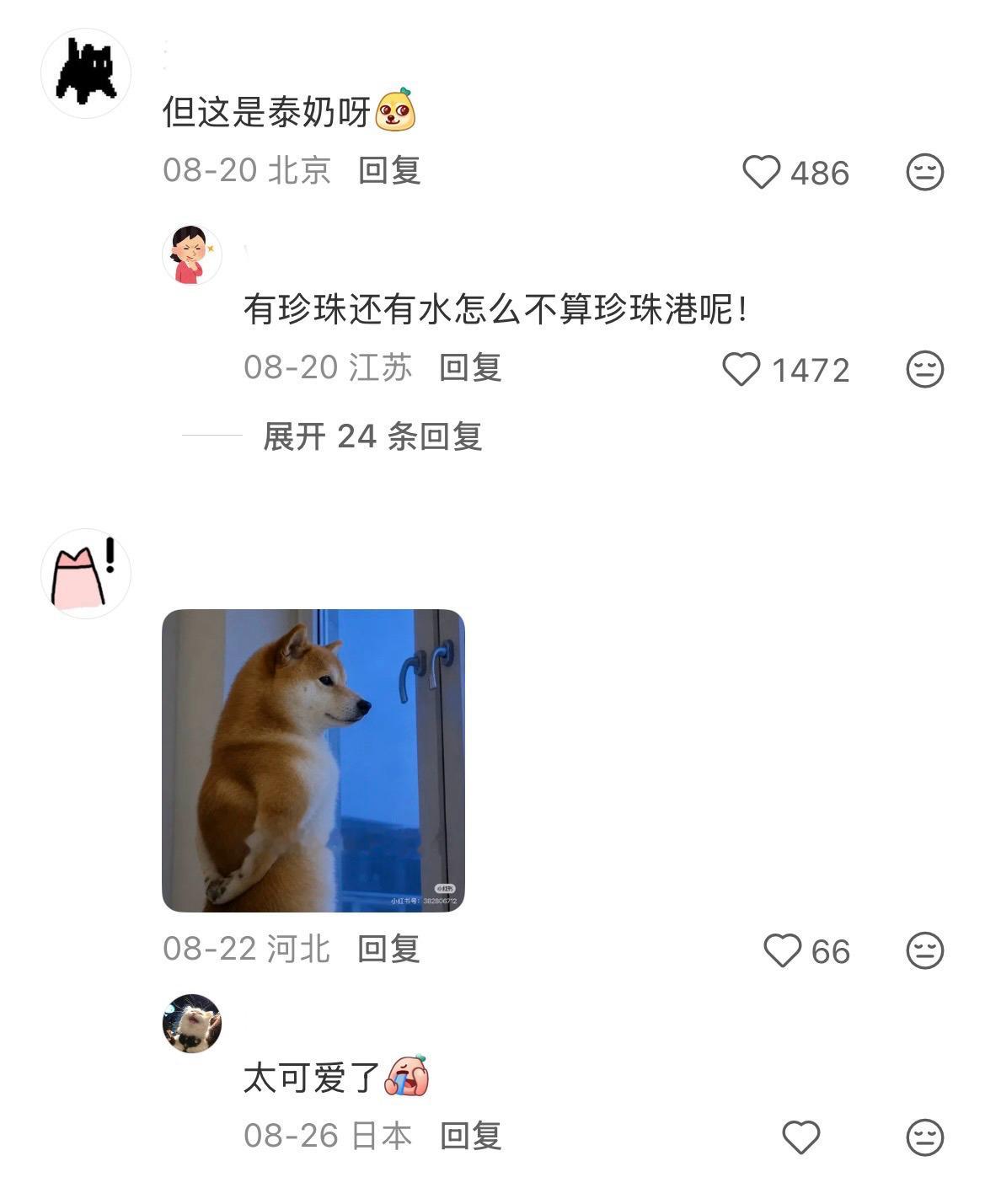 新闻学毕业了🎓 ​​​
