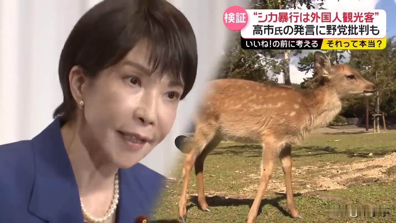 尽管咱们和日本人彼此看不顺眼，却在一点上达成了惊人的默契：那些三天两头往日本跑的