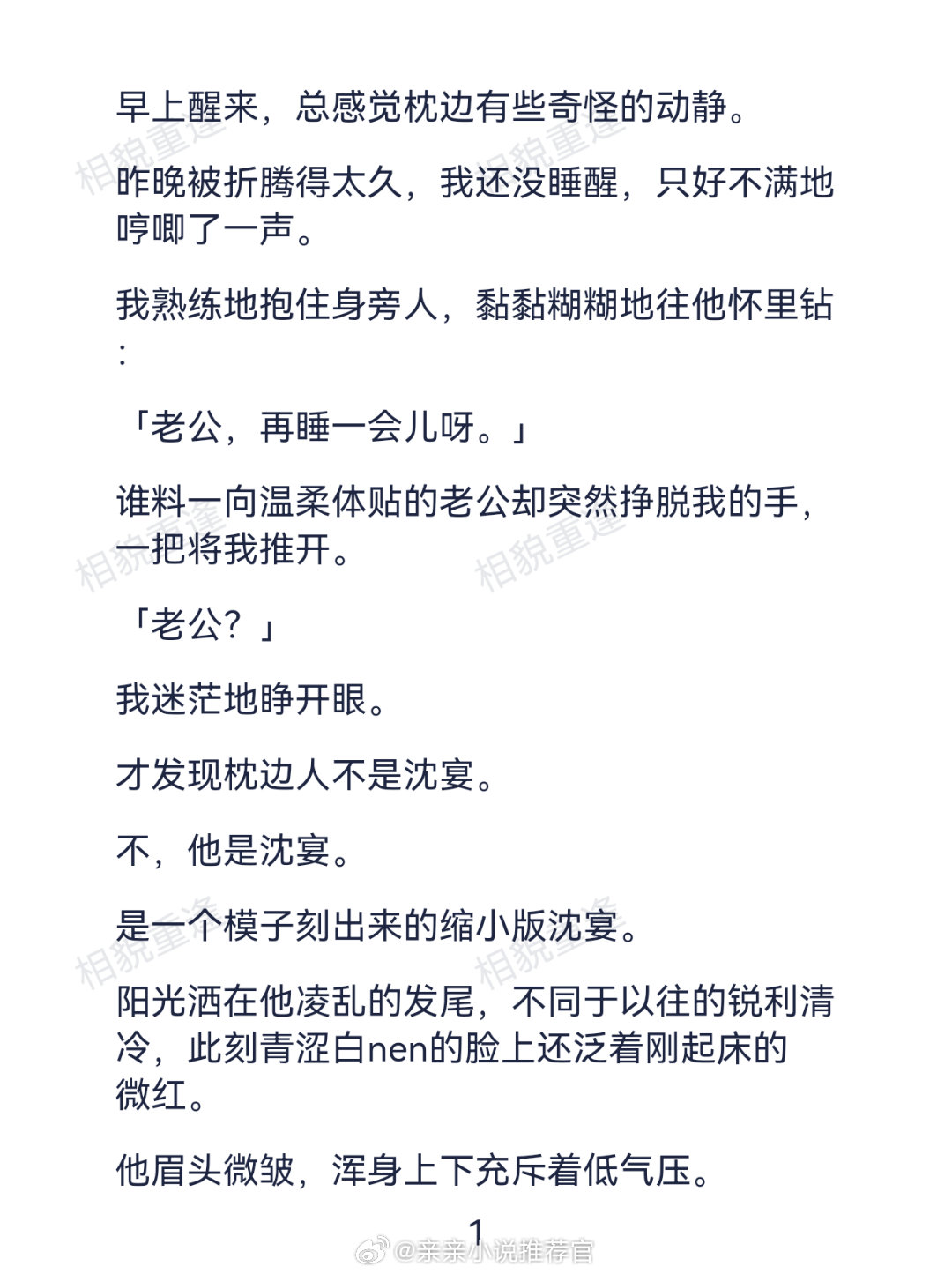 言情小说《相貌重逢》现代言情小说脑洞系统文一觉醒来，老公突然变回了十七岁的模样。