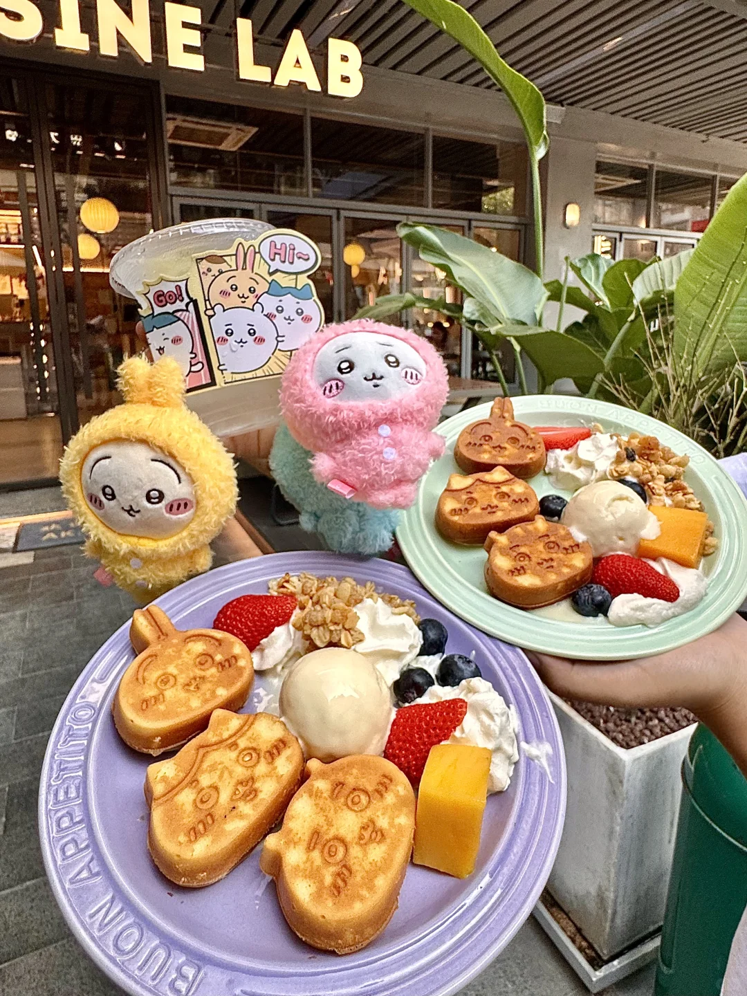 珠海的！！吃上了！好乖的chikkwa松饼～😚