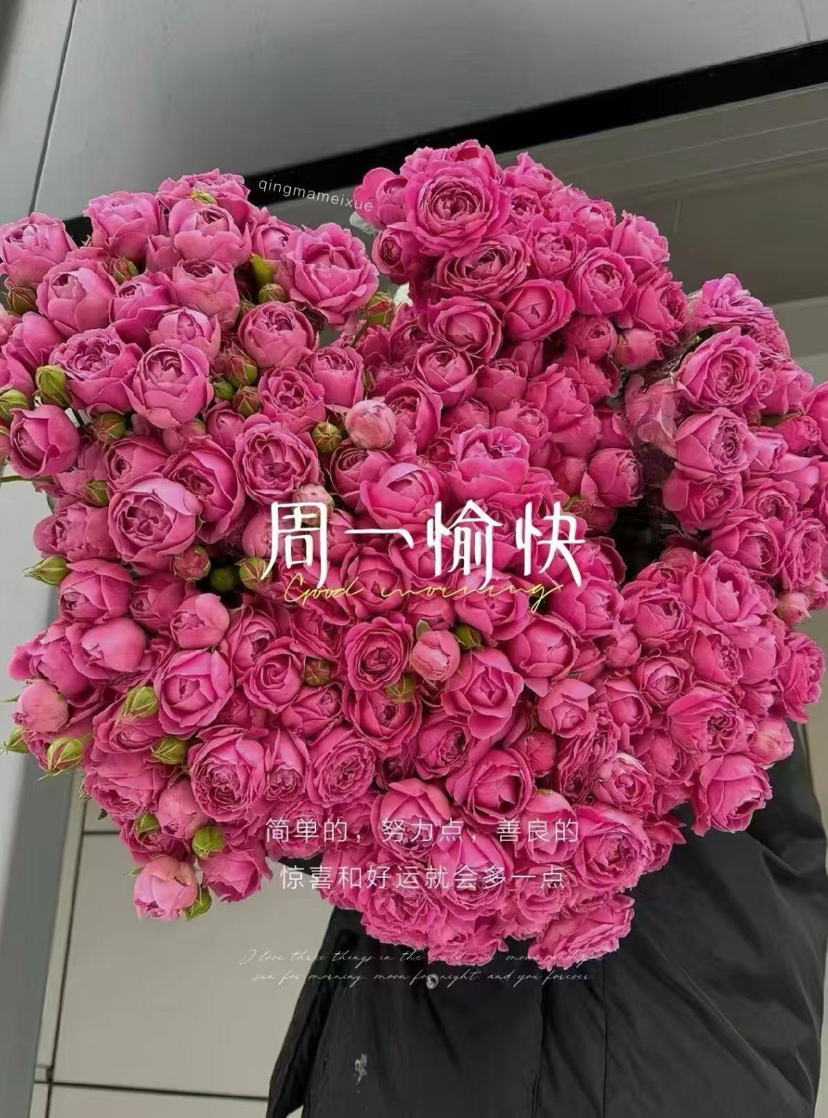 上海本地这个季节对于我来说
目前最想去的就是花卉节啦～

下次准备去新天地太平湖