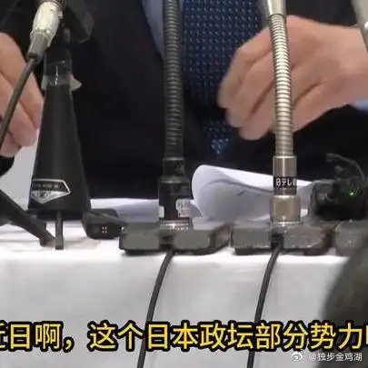 《3月20日闲日杂谈，解放军明确态度，不介意把日本变成主战场，高市被要求道歉并辞