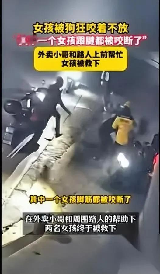 女生骑车遇狗追咬！

跟腱被咬断的画面太惊心

广东汕头街头，俩女生骑电动车时遭