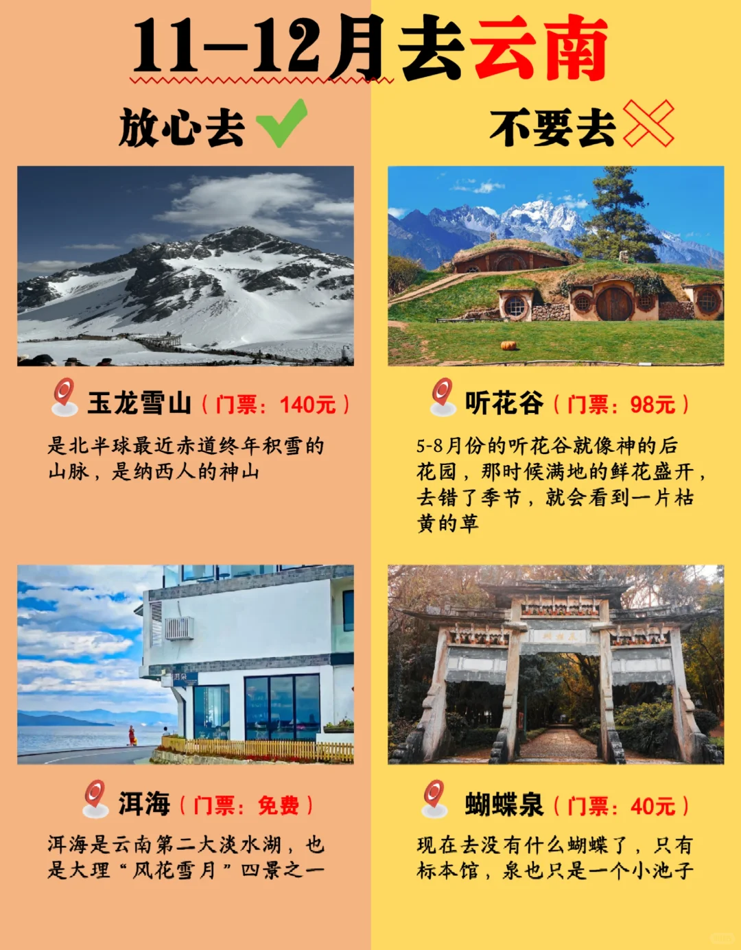 11-12月云南旅游秒懂攻略❗放心去vs不要去