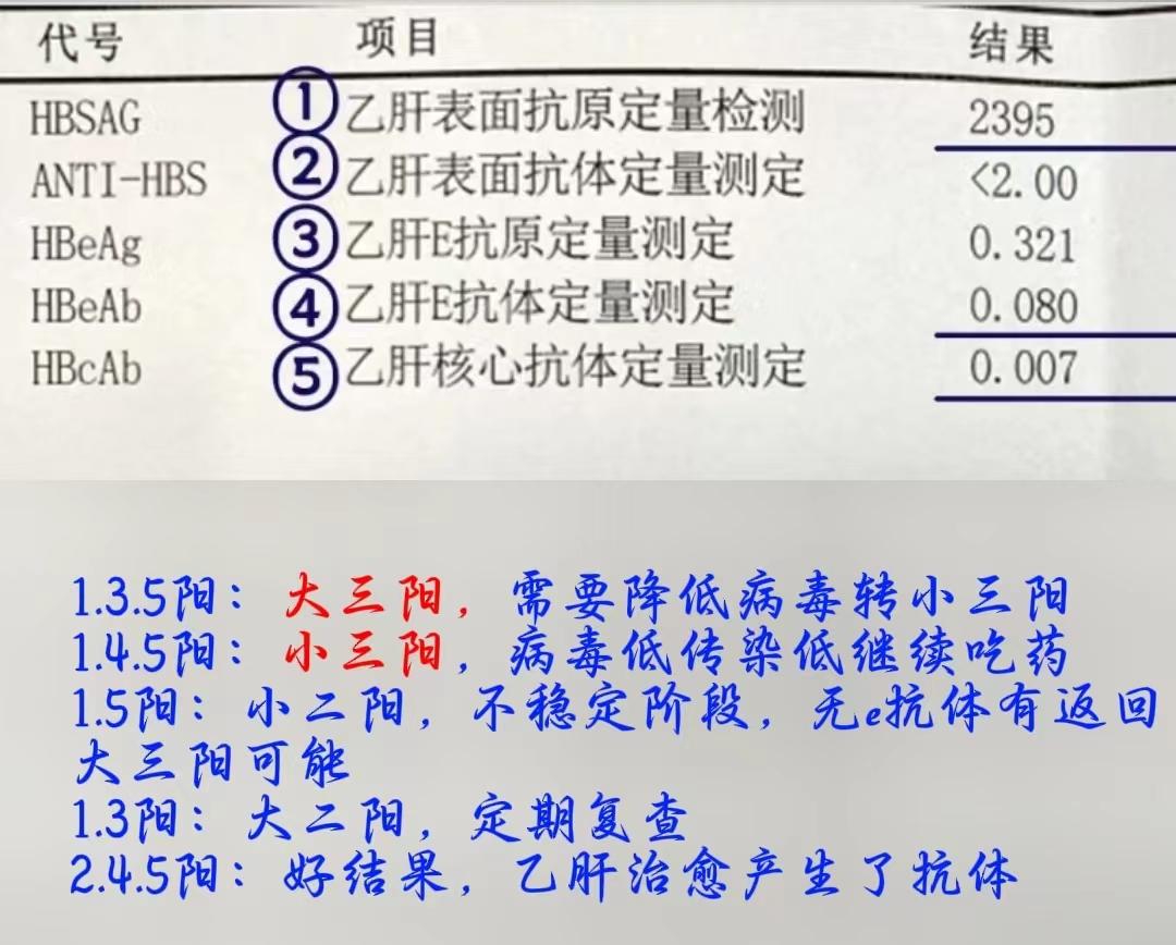 乙肝五项怎么看？