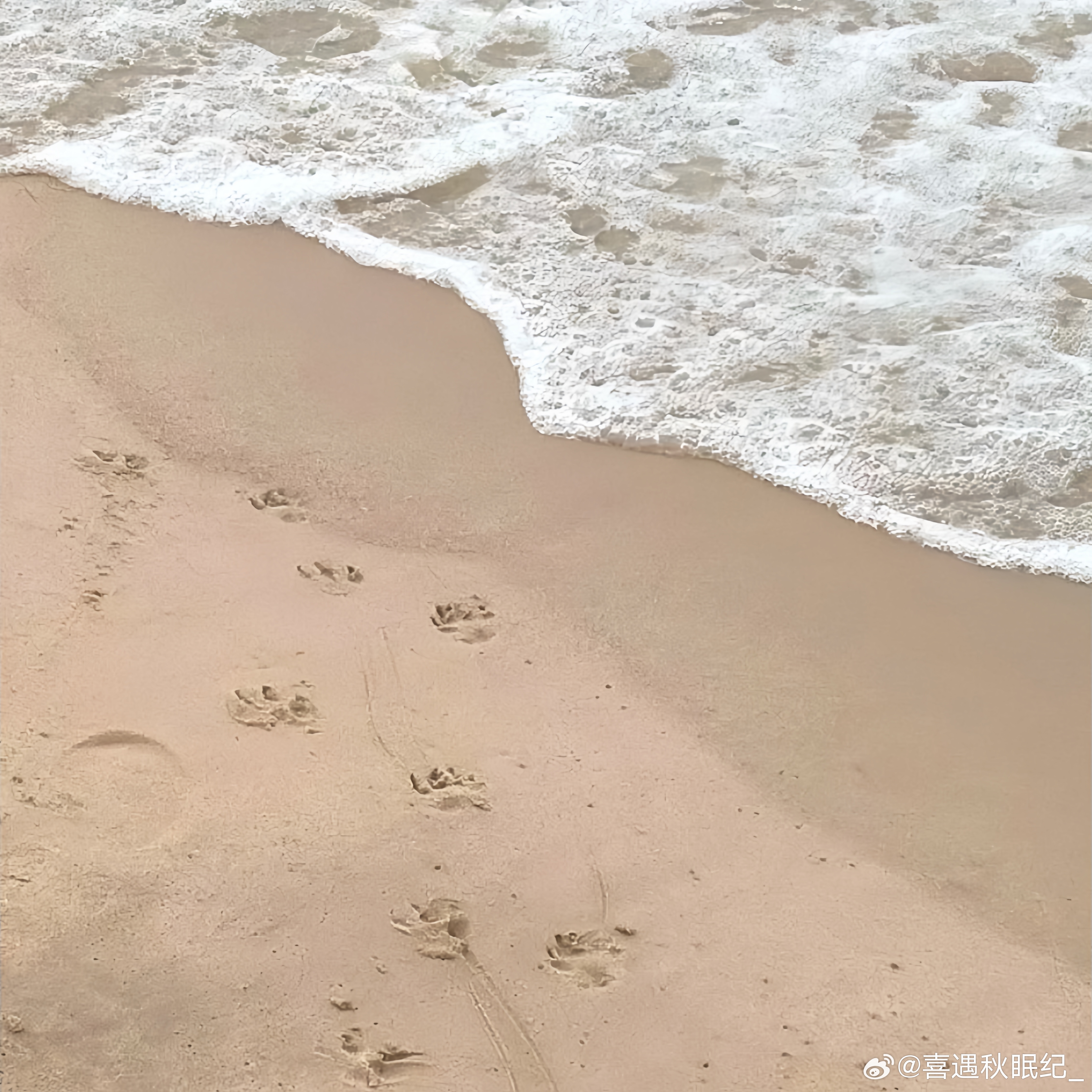 -—愛姐姐 比天長 比地久—在自己的"宇"宙  发自己的光🎧 Love wit