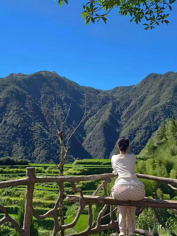 风景不错😌 