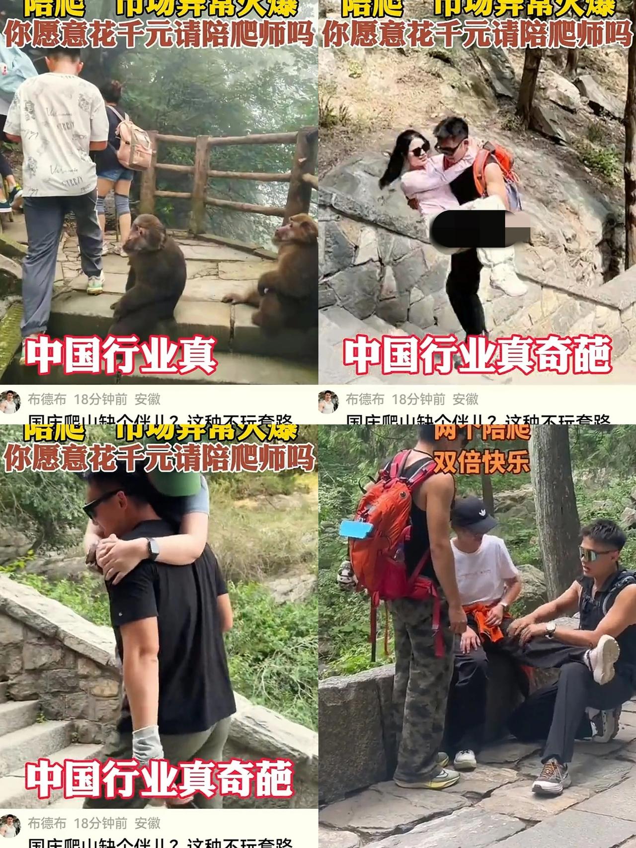国庆泰山陪爬又火了！
陪爬师单次可挣1000元钱，
大学生更是做到了月入过万，连