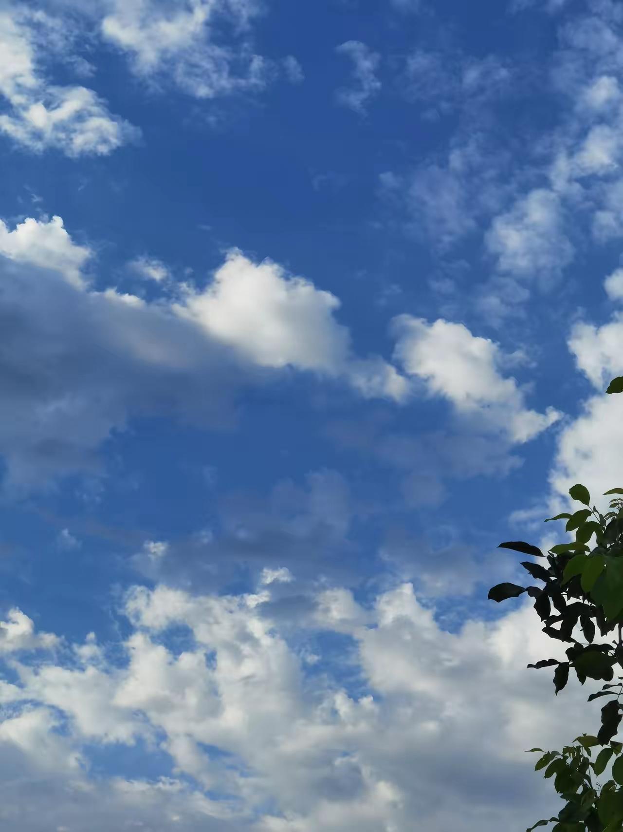 这是独属于少年的悠长夏日，没有早读和晚自习，日子慢悠悠的。睡到自然醒，和同窗肆意