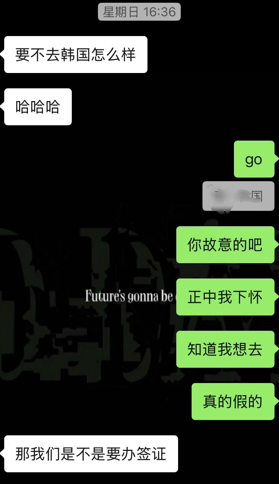 我朋友说去小韩我是真想去 但没办签证 如果去小韩我肯定奔着追星去的 她对明星没有