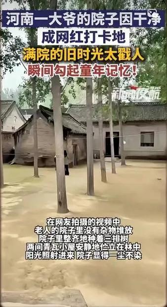 真没想到，河南五保户大爷的院子因为太干净，竟成了网红打卡地。看过视频后，才发现，