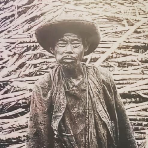 10万人，死亡率10%，8年契约到期再续、永远干到死。1874年，一个46岁的中