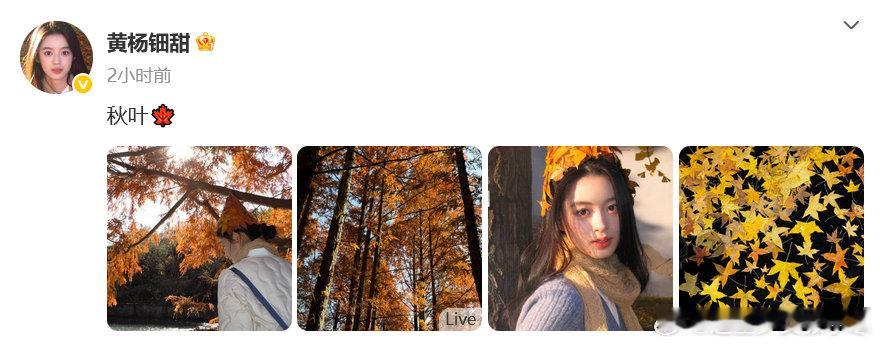 黄杨钿甜风波后首晒照 黄杨钿甜风波后首晒照，这是准备复出了吧？黄杨钿甜时隔半年更