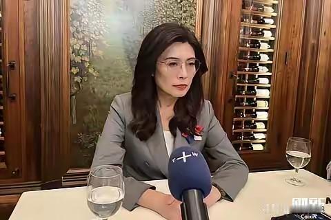 郑丽文狂妄之极，她竟然放出狠话“只要台湾不宣布正式独立，大陆还武力侵略，我一定抵