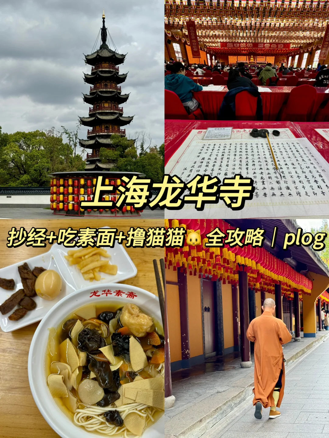 上海龙华寺｜周末抄经+吃素面+撸猫🐱全攻略