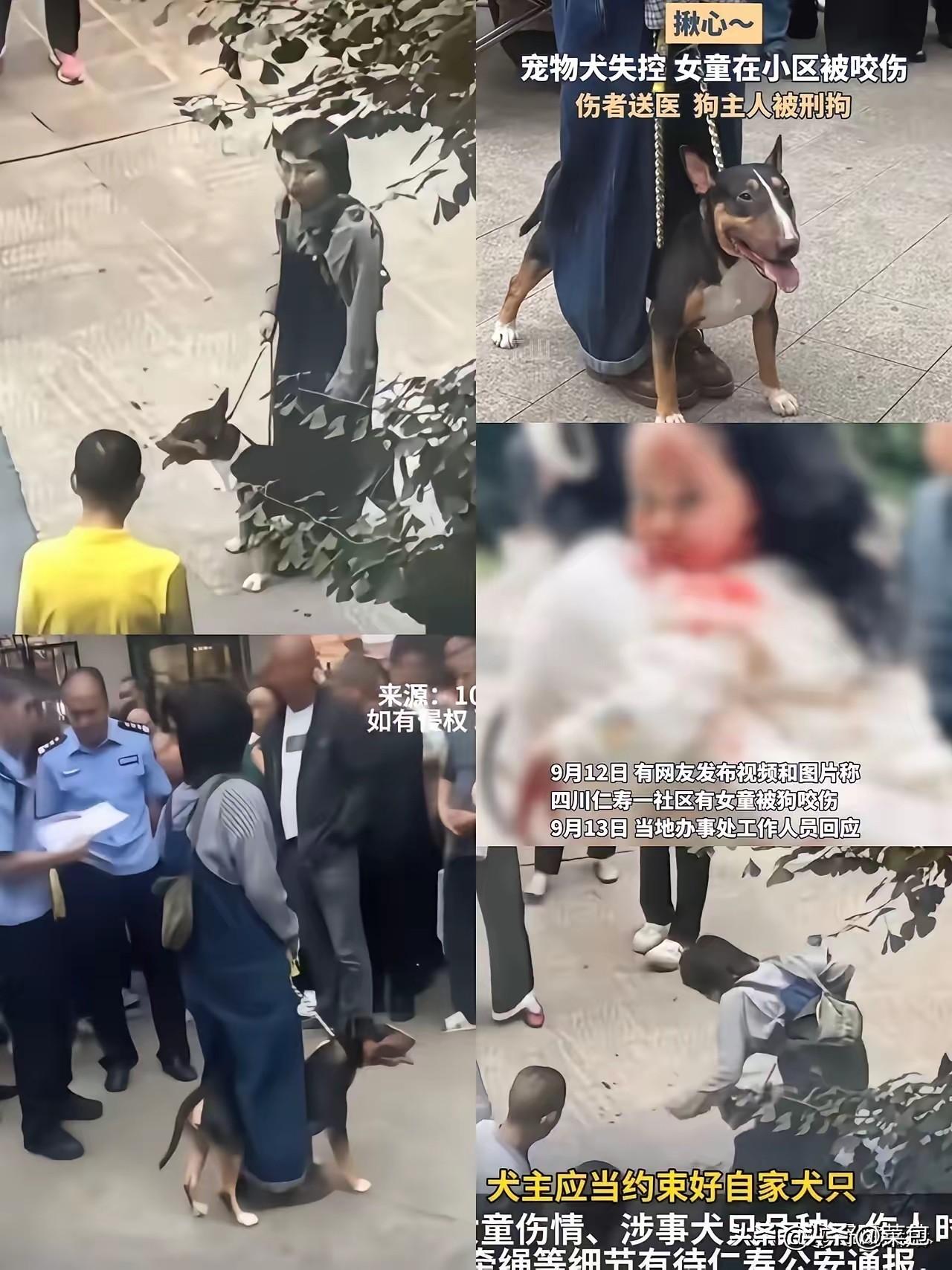 估计现在全网最后悔的，
就是四川眉山咬人狗的狗主人，
不是因为自己被判，而是千不