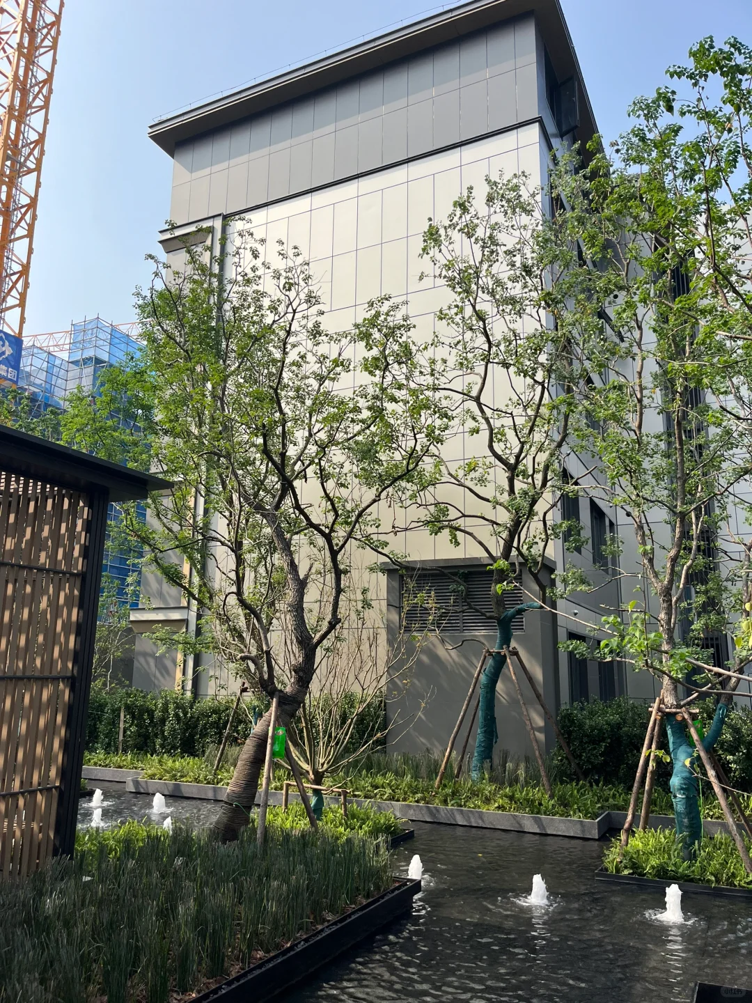 市中心10分钟，这个总高5层真洋房是真香