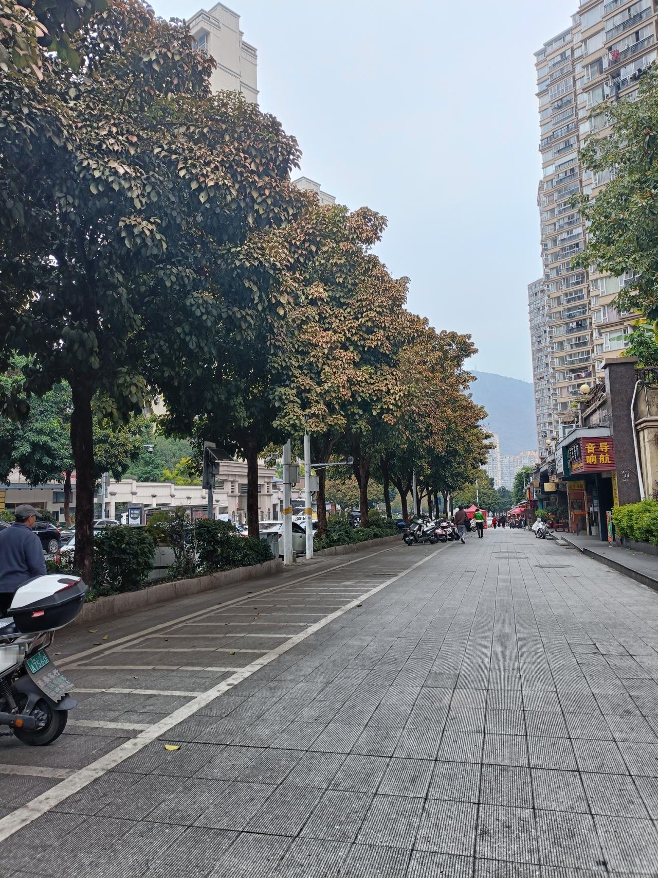 冬日的街景

冬日的下午，
没有很冷。
我喜欢这温暖的午后，
明亮，干净，温暖。