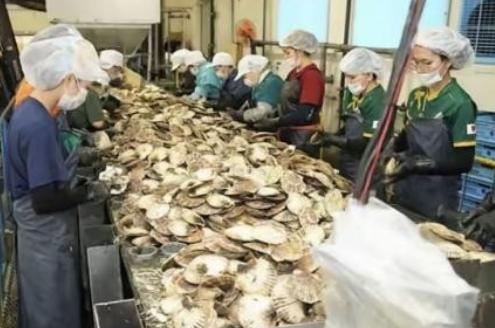 日本排放核水后，奇怪的事发生了：刚开始各国对海鲜避之不及，如今3年过去，核水已污