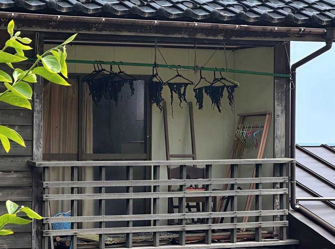 我是不是眼睛有点花了，这晾的不会是衣服吧 