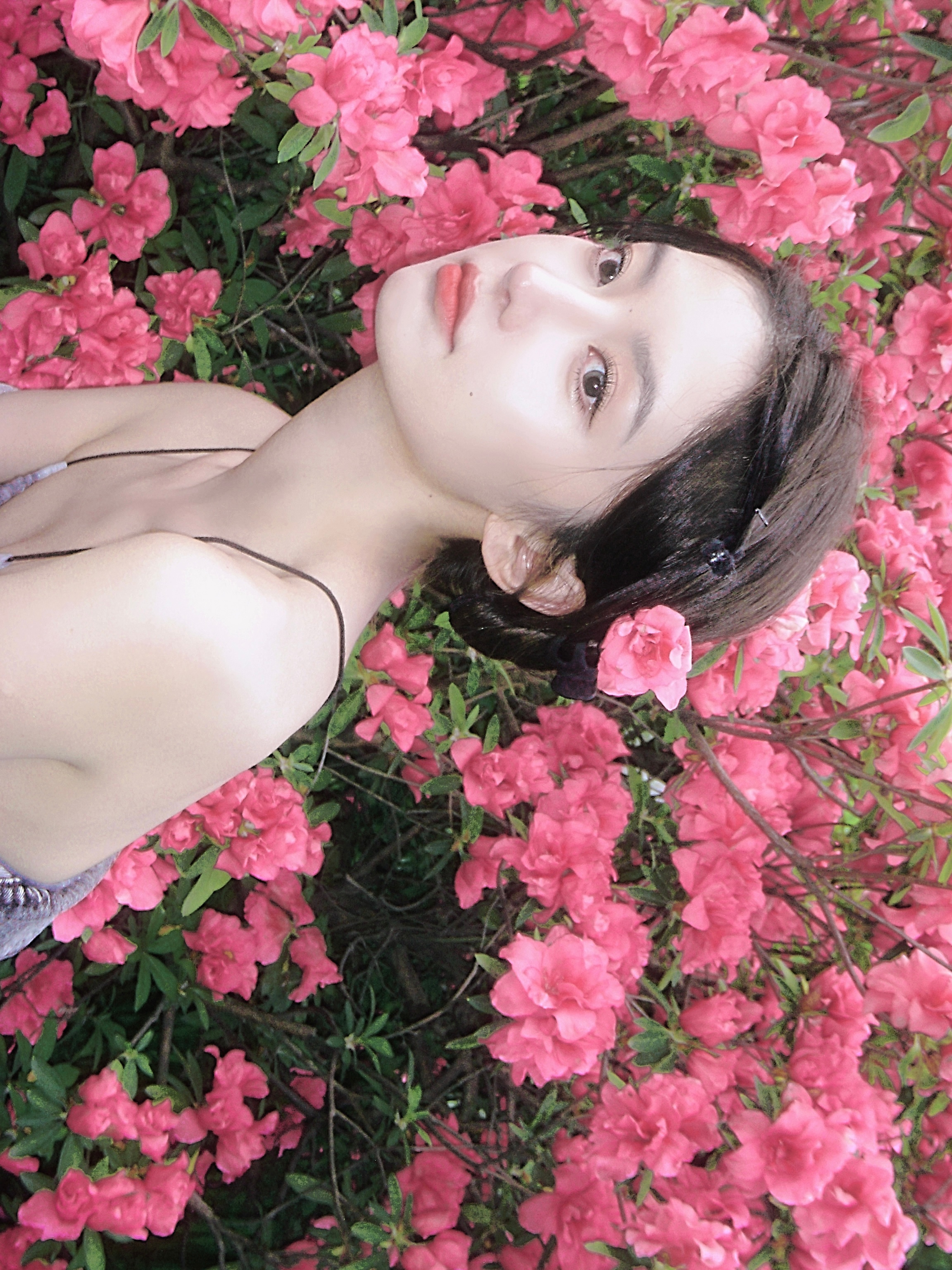 四月拍的杜鹃花 ​​​