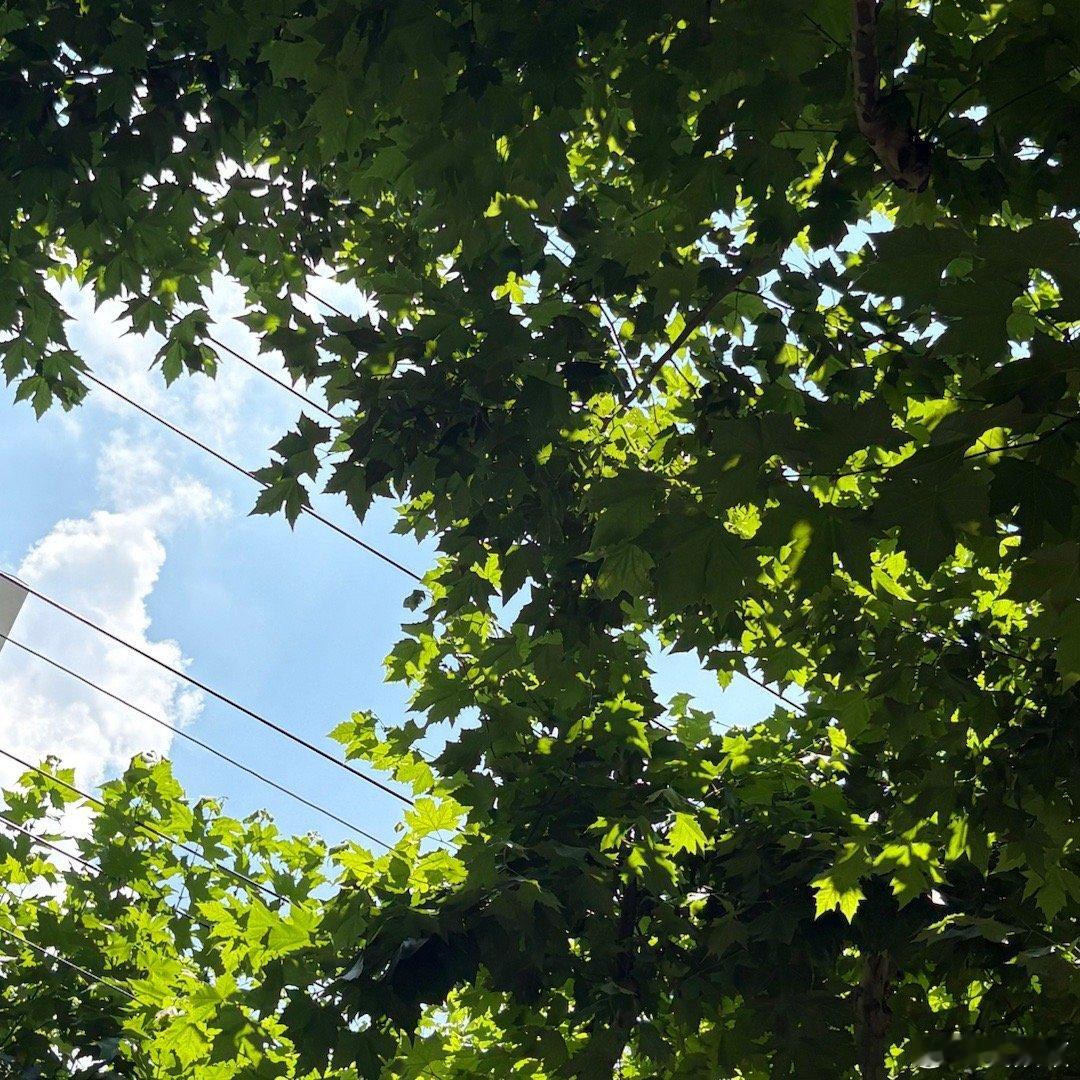 一条Plog告别六月 夏天的感觉这不就来了 aloha～休息日(｡ì _ í｡)