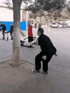 大爷退休之后专门练这一种功，想来练得已经相当厉害了。瞧，这可是大树，要是换作是人