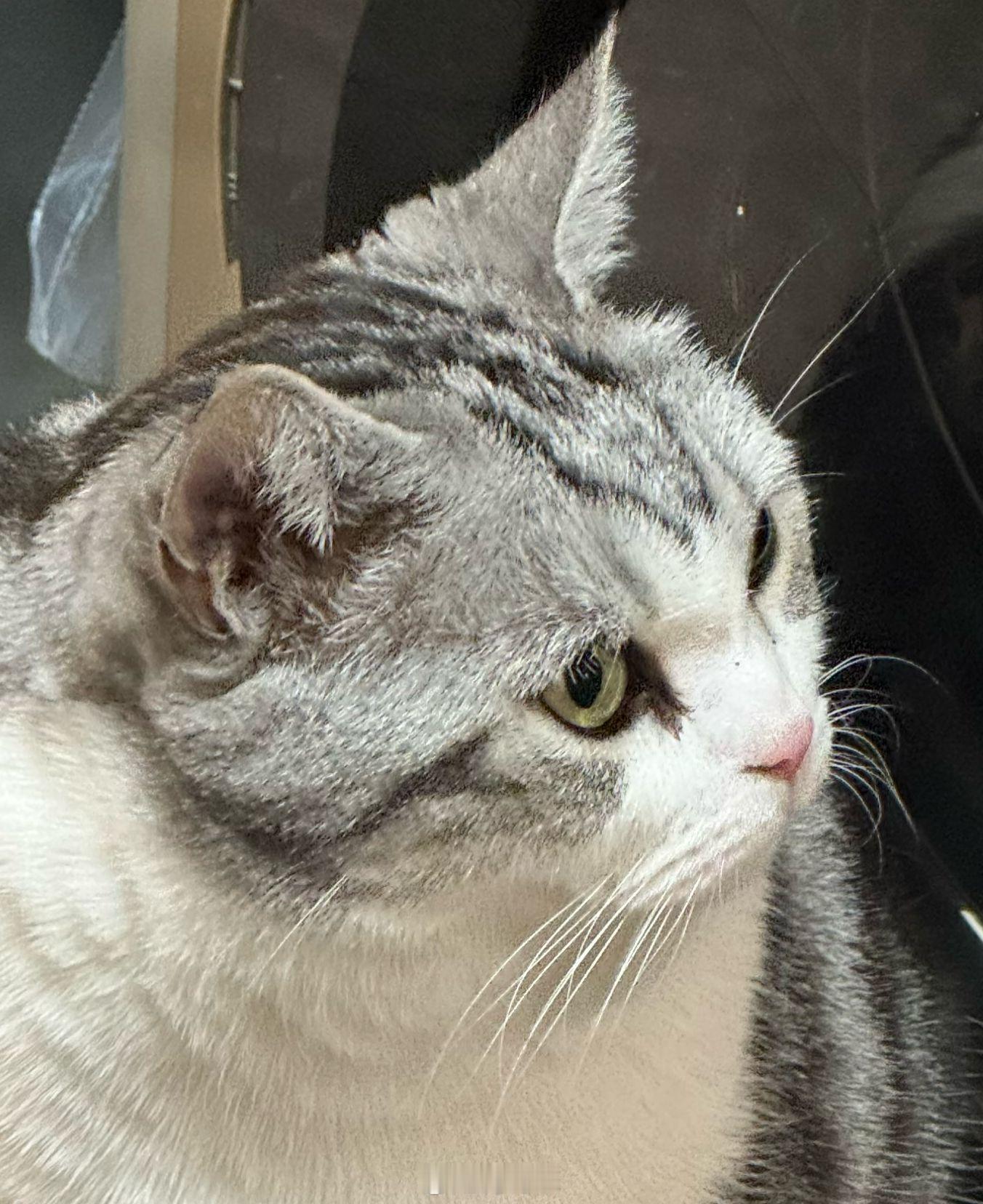 就是这个侧颜！！！我完全catch you 