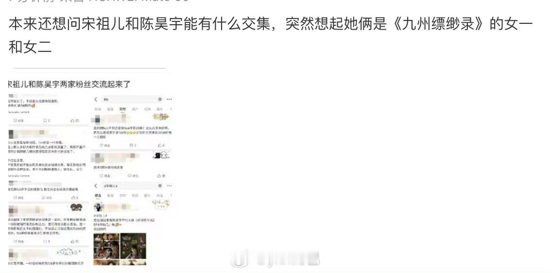 陈昊宇因为浪姐现在粉丝比祖儿多吧 