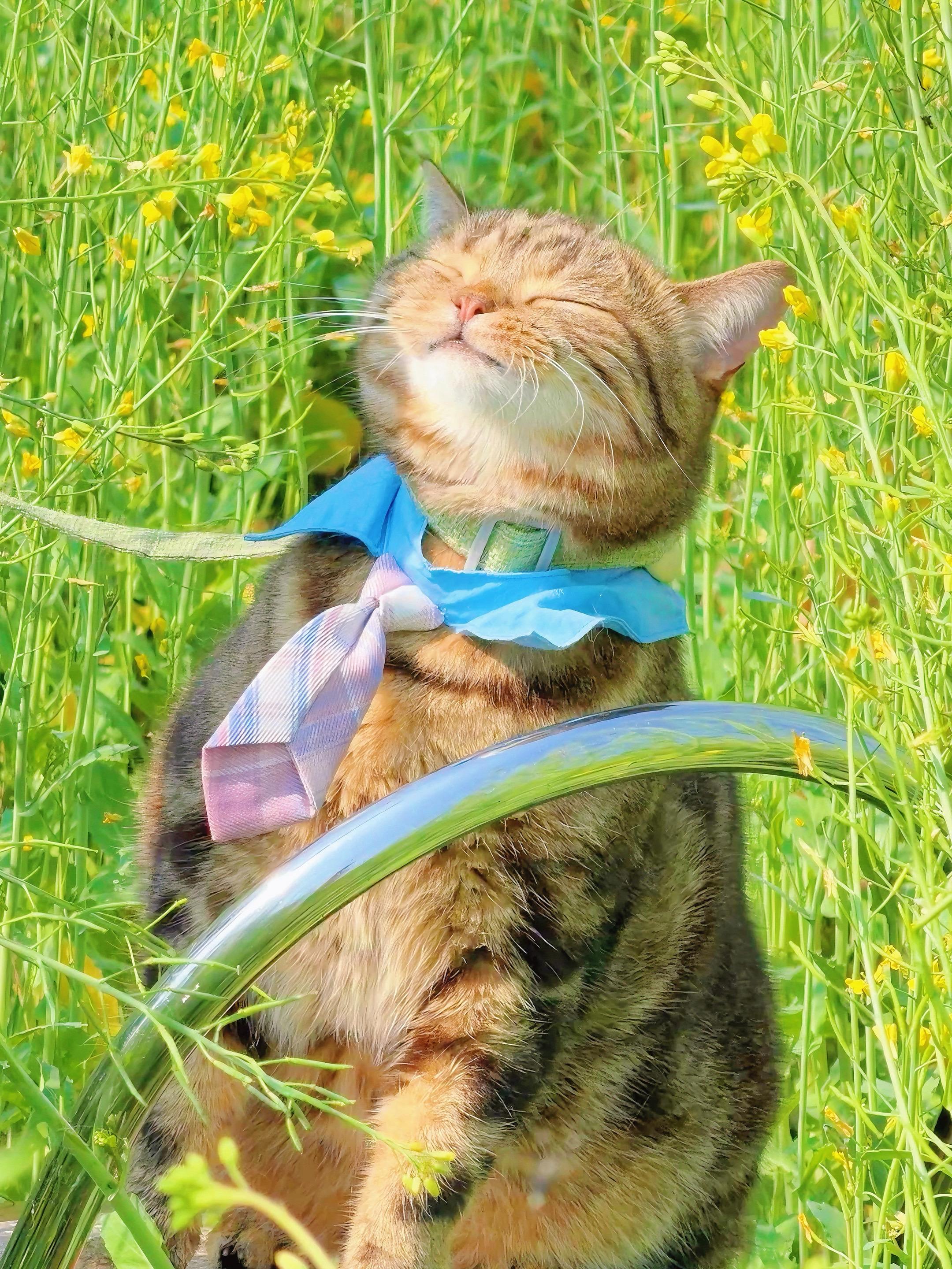 跟你一起闻闻春天的味道。