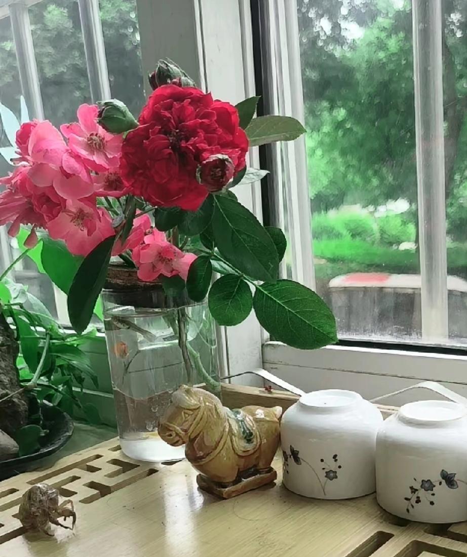 我心里一直有个疑问，想好好问问老何。
 
老何之前给出观点，整件事就算存在两成T