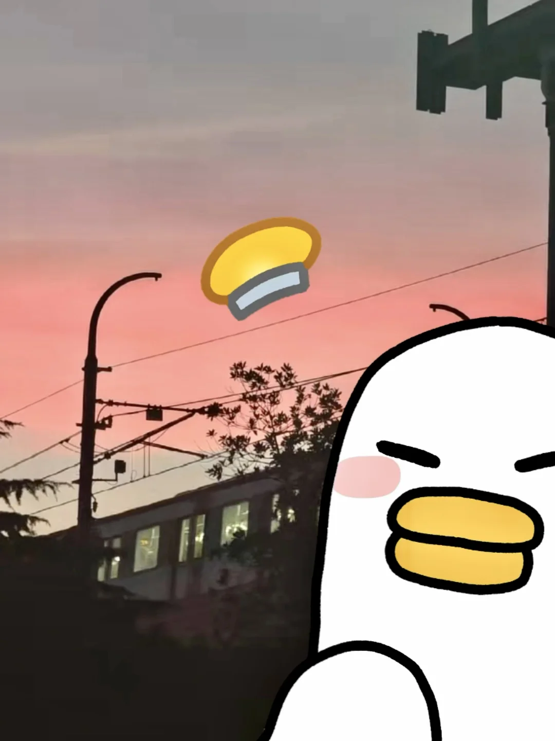 不好意思 先大家一步出去玩了🕺