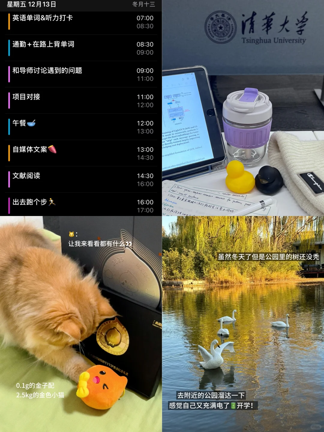 学习-搞💰-秋招 在自己的循环里上升🔝