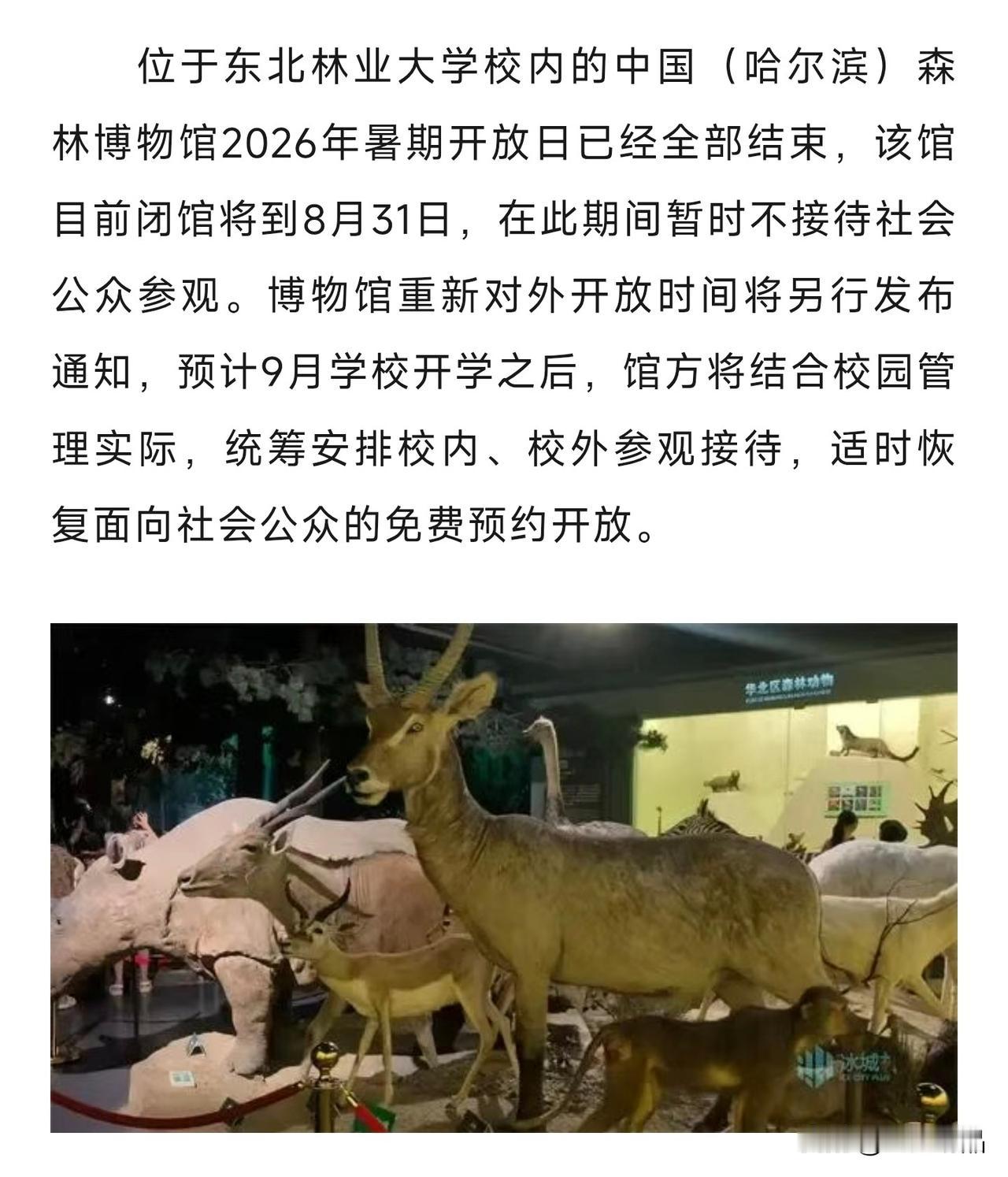 打算去森林博物馆的朋友先别动身！
 
东北林业大学校内的中国（哈尔滨）森林博物馆