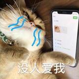 紫兰热说娱乐