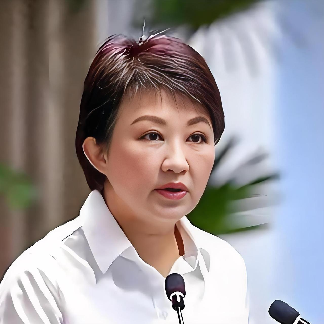 今天（6月29 日），那位台中市长卢秀燕表示：国民党团要提出无人机的条例，我建议