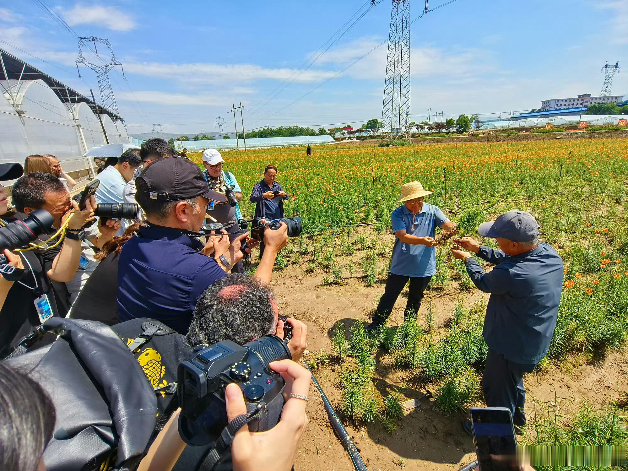 一次安静却有分量的田野行走兰州国际传播交流周走进榆中高原夏菜 此次榆中之行，外籍