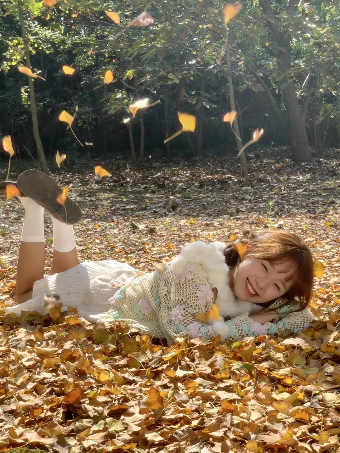 live图｜随后 便是你最爱的秋天🍂