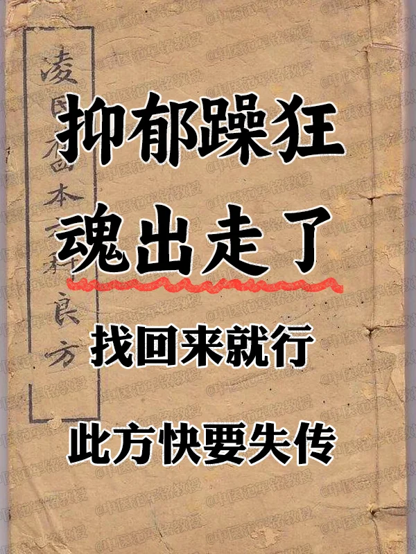 抑郁躁狂 hun出走了，找回来就行，此方快要失传 . 双相情感障碍又称...