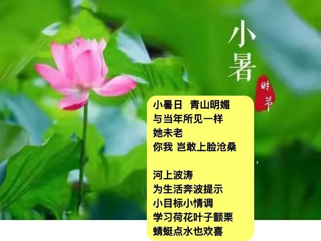 小暑  荷光放光
照亮堂
一段时间荒芜
．
存在或者虚幻
荷叶上
一滴露水诠释
