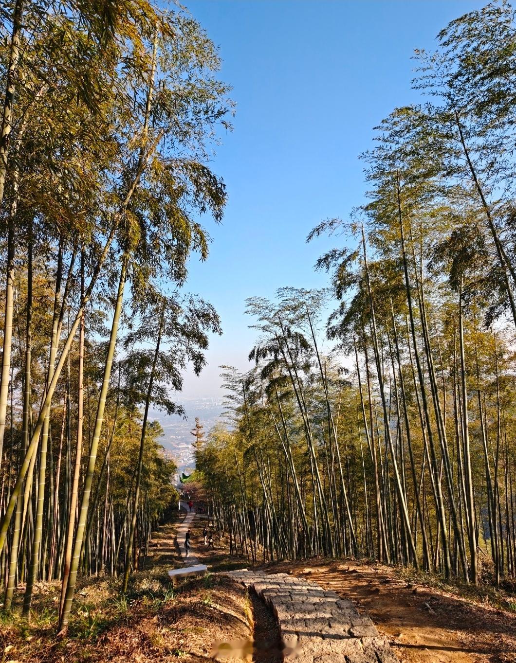 2026找准方向，带领大家🤑🤑🤑站在2026年起点校准方向