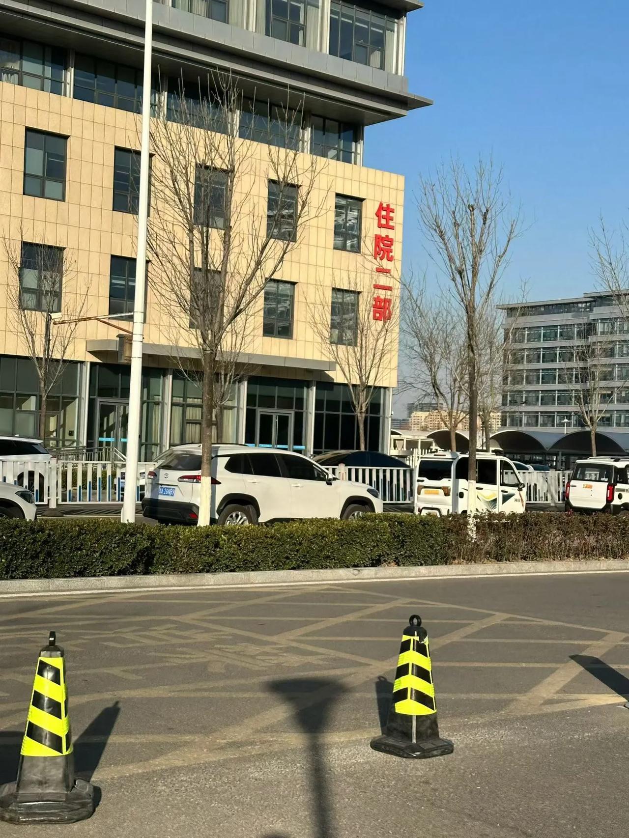 世间疾苦，爱莫能助。