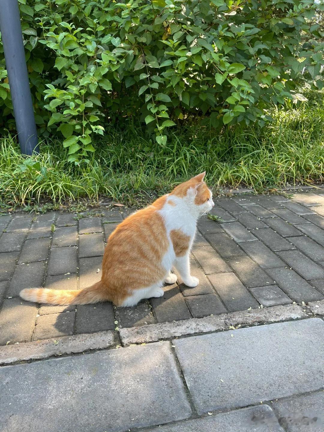 #秋日生活打卡记# 
秋天，充满期望，但比春天更富有灿烂绚丽的色彩；秋天，没有夏