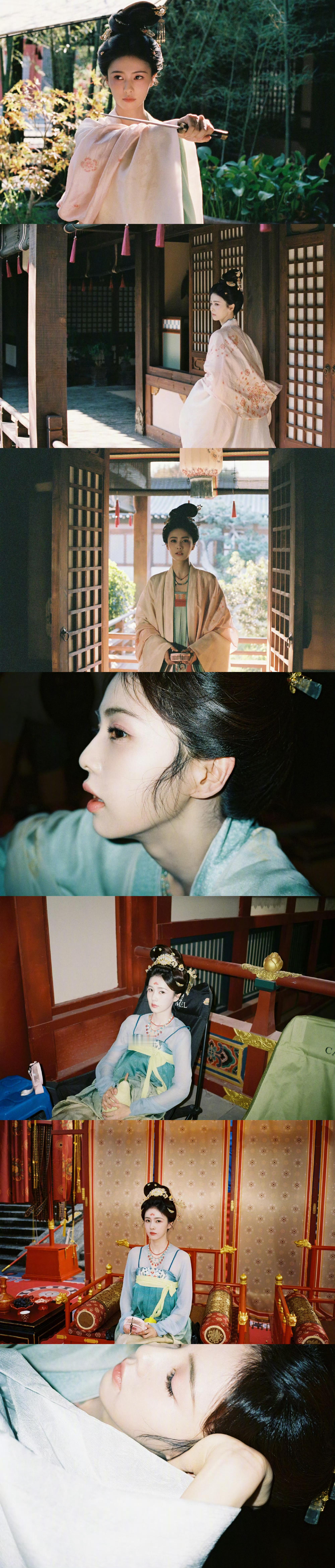 白鹿  白鹿王韵娜 蜜蜂飞到白鹿头发上鲜艳的璃