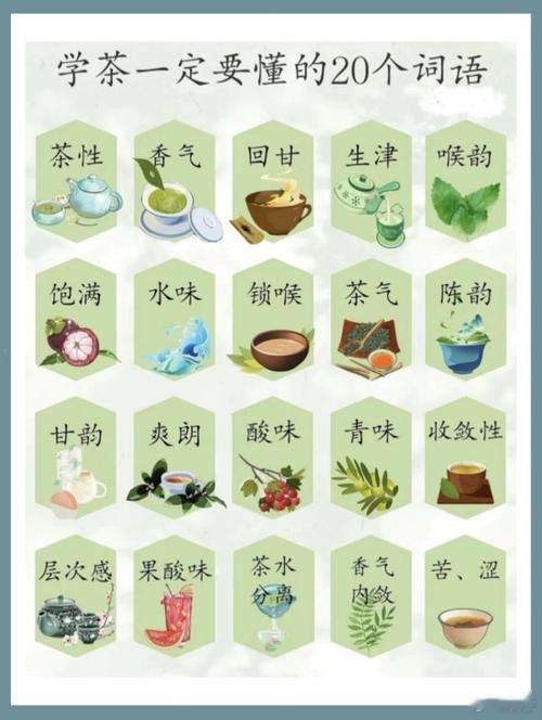 學茶一定要懂的20個詞語 ​​​