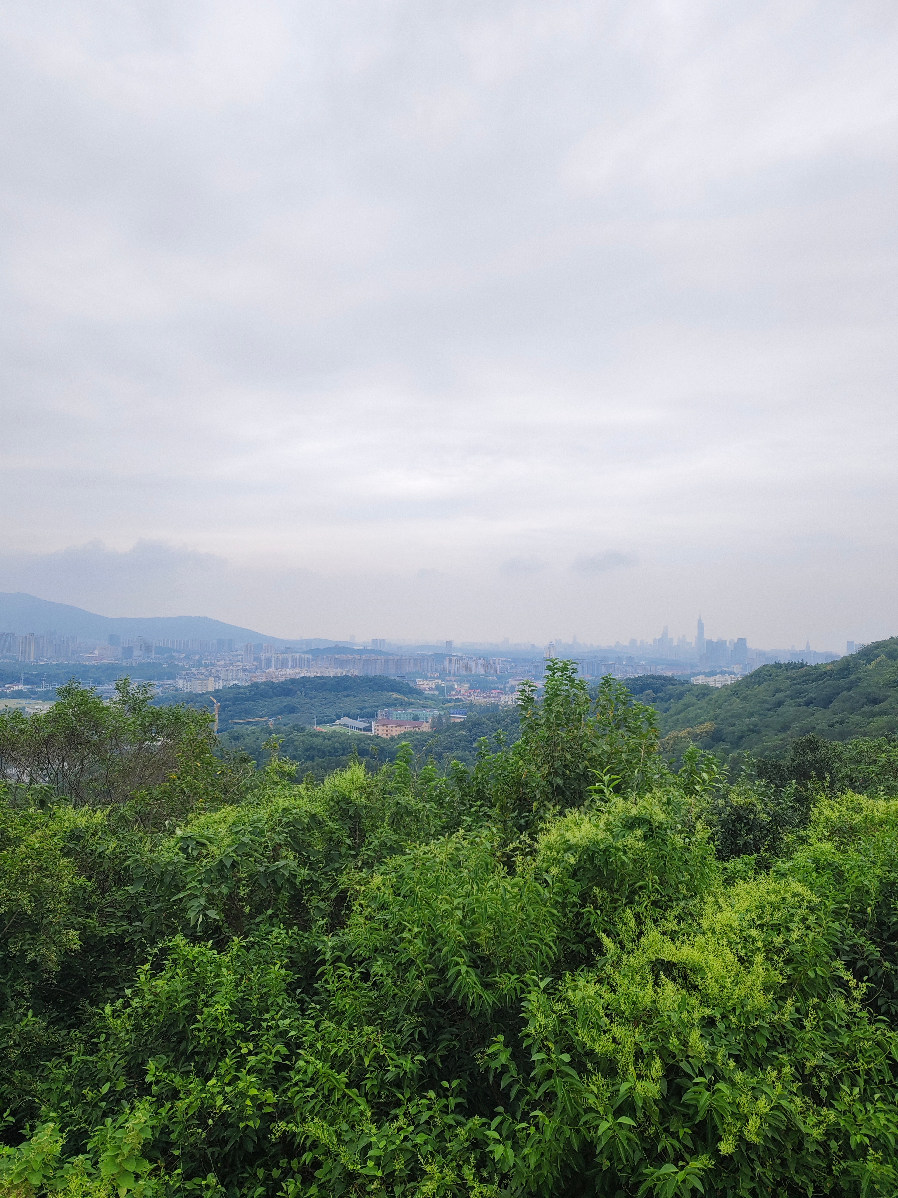 幕府山一日游，为了这个坐标原点也是豁出去了！315级台阶就这么一步步爬上来了，上