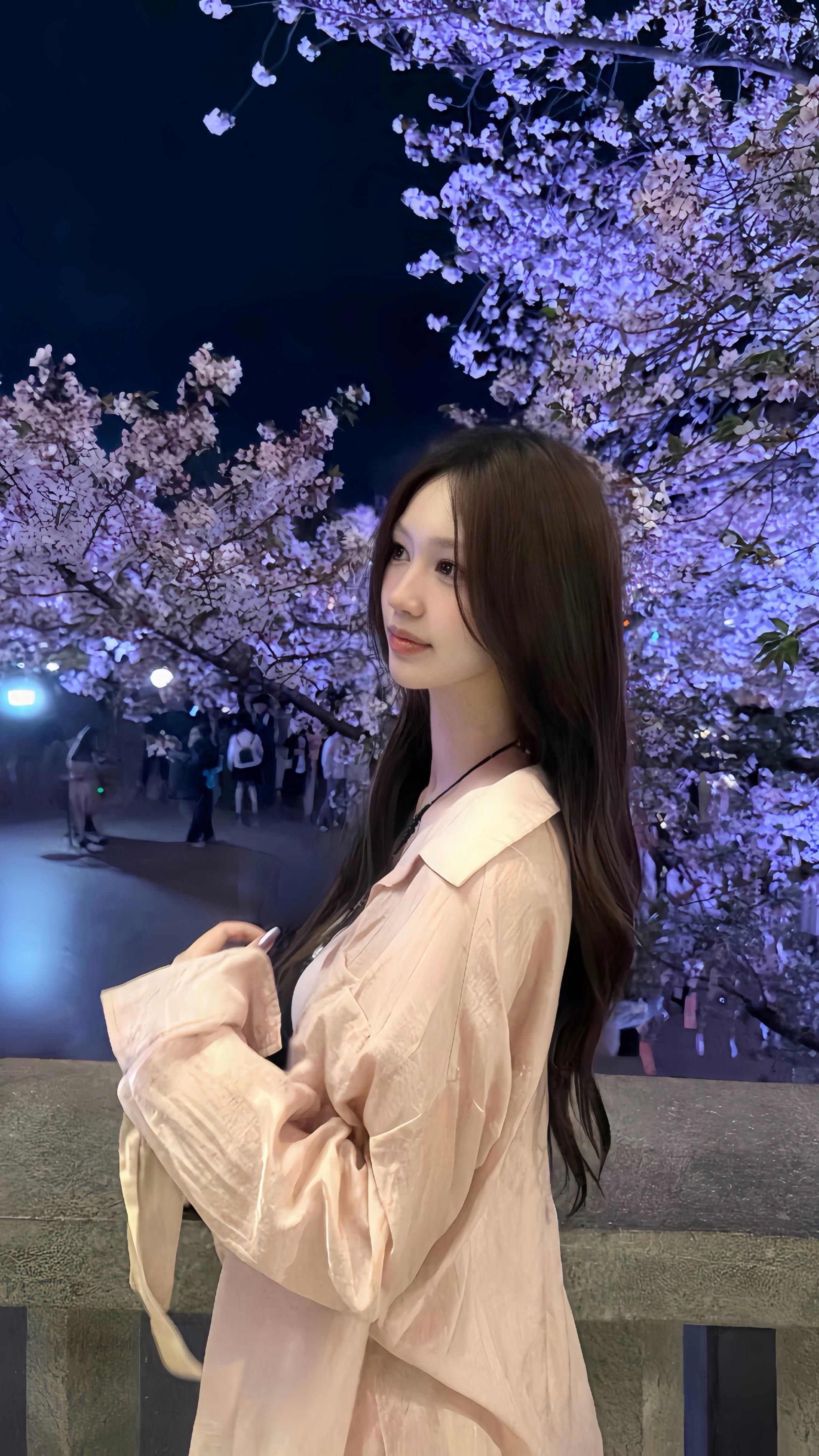 被樱花砸晕的一天