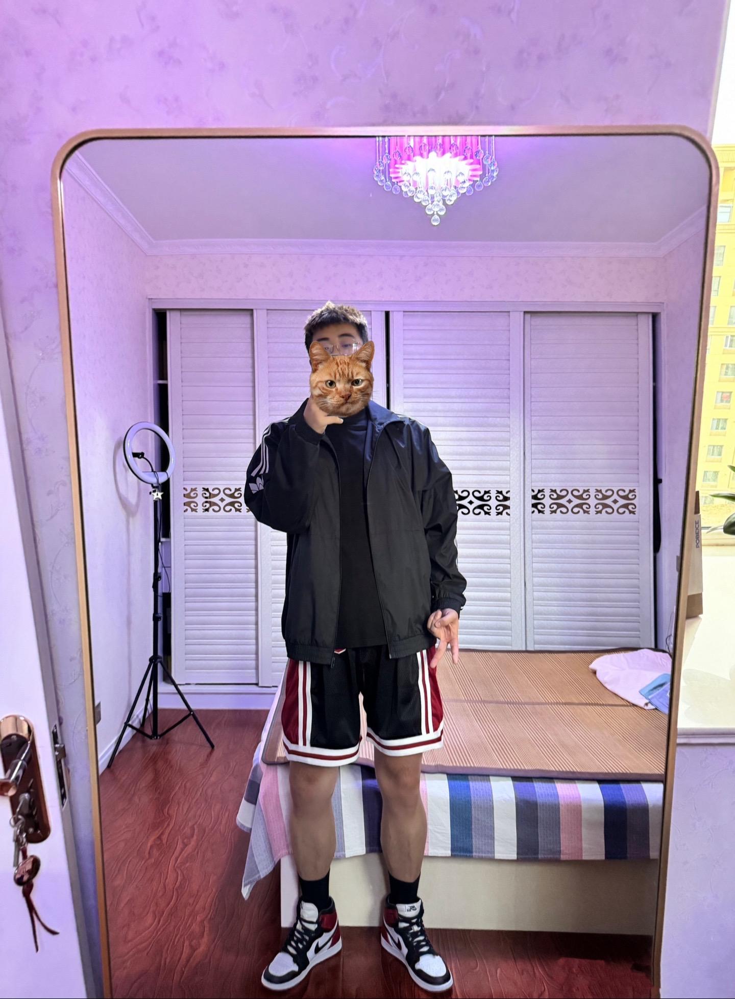 这个夏天我看是白不回来了