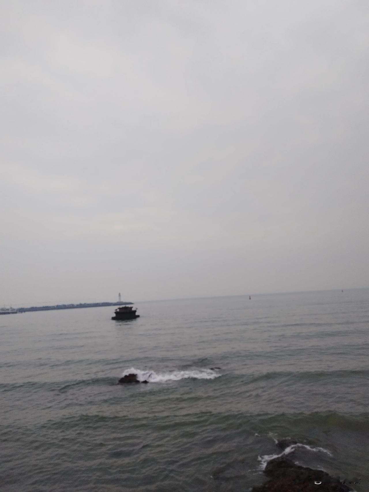 曾经，我对车厘子情有独钟。不管有钱没钱，我都想买它，但今年，完全没有了吃它的欲望